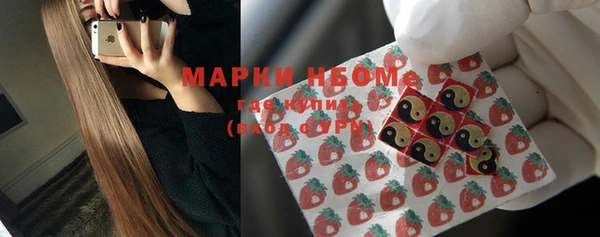 шишки Мегион