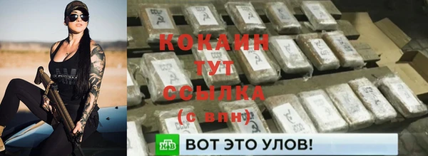 шишки Мегион