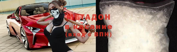 шишки Мегион