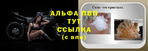 шишки Мегион