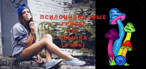 мескалин Медвежьегорск