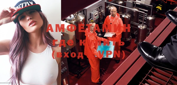 шишки Мегион