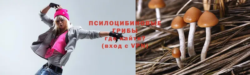 Псилоцибиновые грибы Psilocybe  Завитинск 