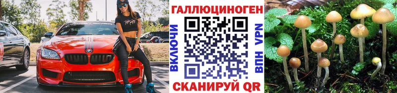 МЕГА зеркало  Завитинск  Галлюциногенные грибы мицелий 